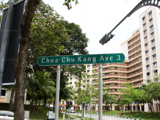 Choa Chu Kang Avenue 3 #99752